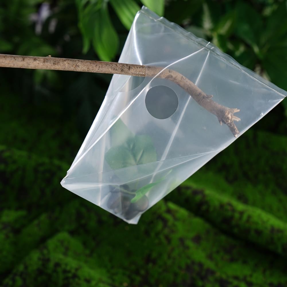 20pcs Garden Snails Slugs Traps Snail Controllers Snail Cages Insect Traps Garden Reptile Traps Snail Bags Gintrap Tools Snail