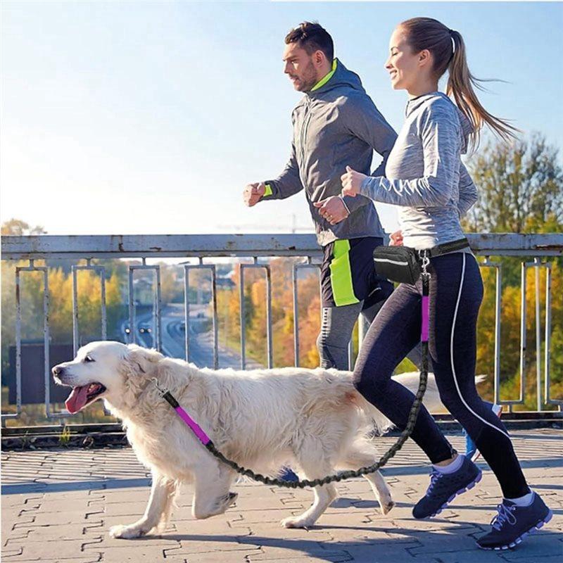 A58Z Do wyprowadzania psów i do biegania z pupilem Smycz Wielofunkcyjna Sportowa Torba na pas Rozszerzana Bez użycia rąk Regulowana