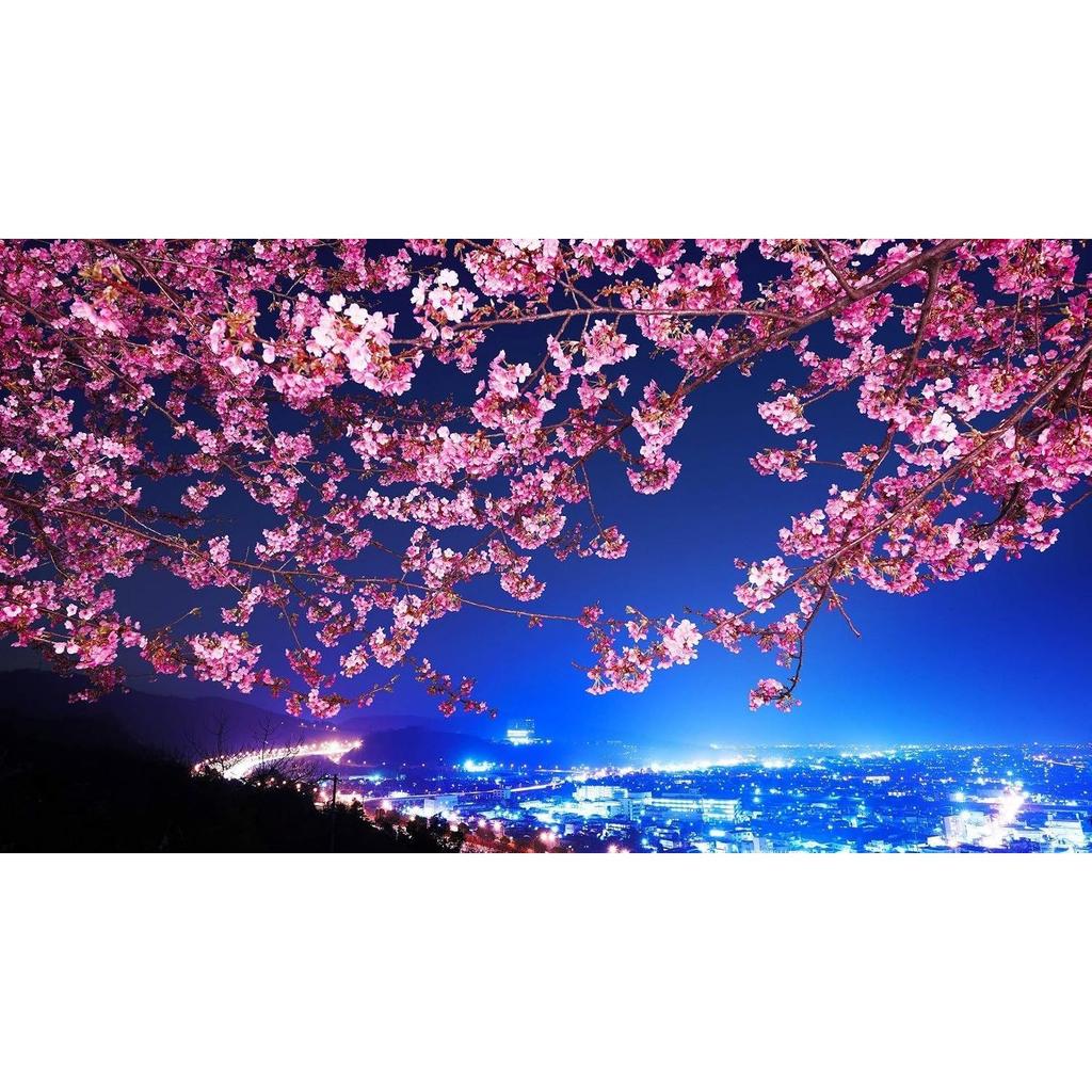1000 pieces cherry blossom landscape jigsaw puzzle large game