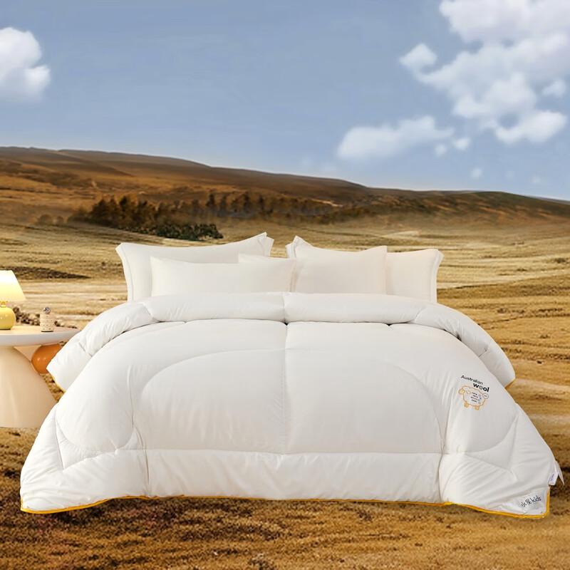 Mercury Home Textiles Thickened Antibacterial Australian Wool Quilt