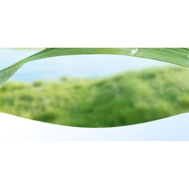 FAYANKOU - Roll-on Deodorant - 3 Types