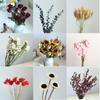 Yunnan Dried & Immortal Flowers Bouquet: Baby's Breath, Roses, Forget-Me-Nots for Home & Homestay Decor