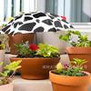 Popular Plant Sunshade Flower Potted Plant Sunscreen Umbrella Heat Insulation Outdoor Plant Floor Insert Umbrella Company