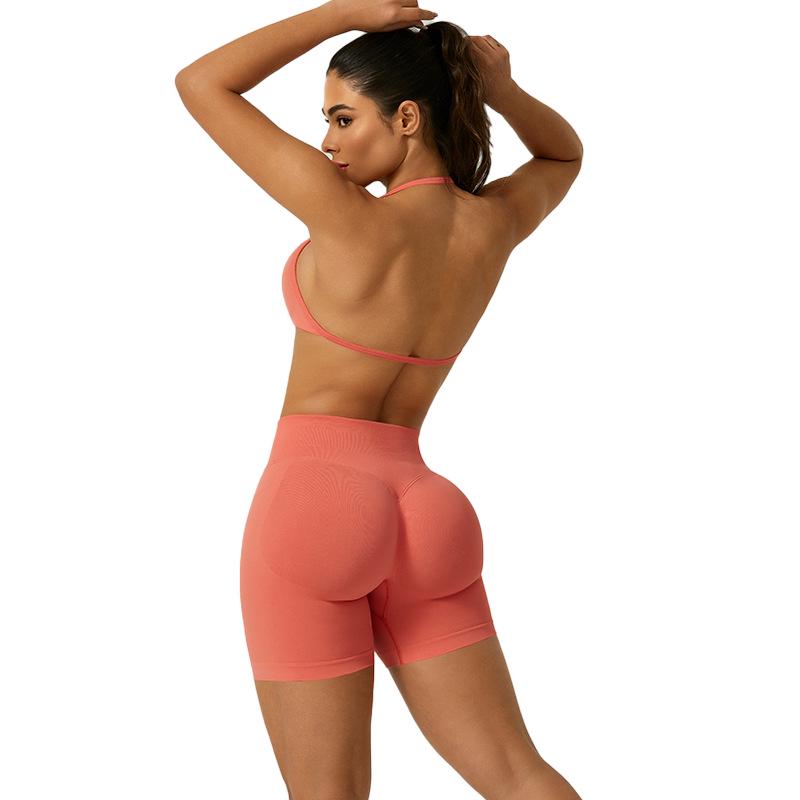 European Halter Neck Seamless Yoga Bra: Sexy, High Elasticity, Matte Finish, Beautiful Back Design