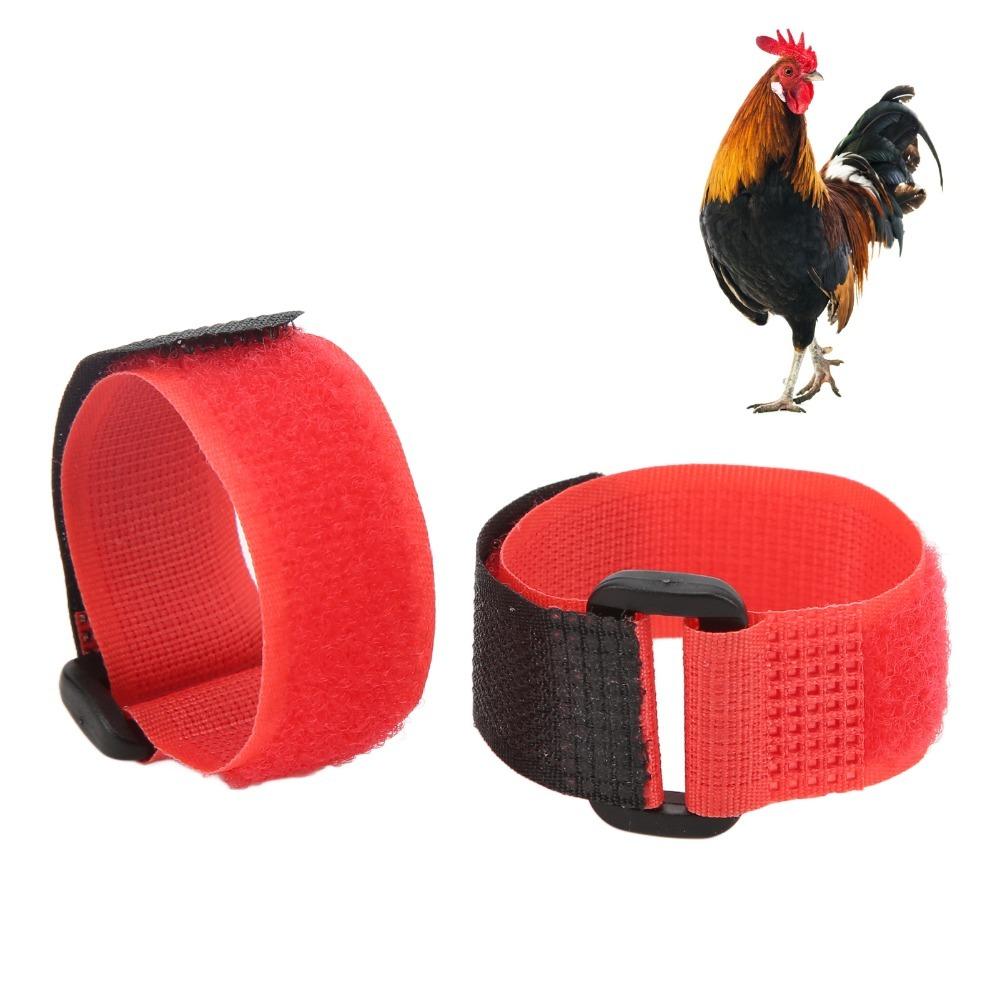 2pcs Lightweight Chicken Collar Durable Chicken Neckband Breathable Rooster Collar Farm Use