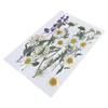 Dried Pressed Flower for Resin Molds Natural Dry Flower Leaves for Art Craft Supplies Scrapbooking Jewelry Making 6XDE