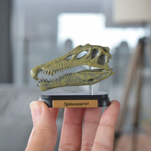 Dinosaur Spinosaurus Skull Mini Model (FDW-503)