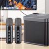 Karaoke Machine with 2 Wireless Microphones Wireless Karaoke Speaker Support BT/USB/TF Card/Aux for Adults Kids