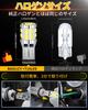 BAOLICY T10 LED White Explosive Light with Built-in Canceller, Position Lamp, License Plate Light,
