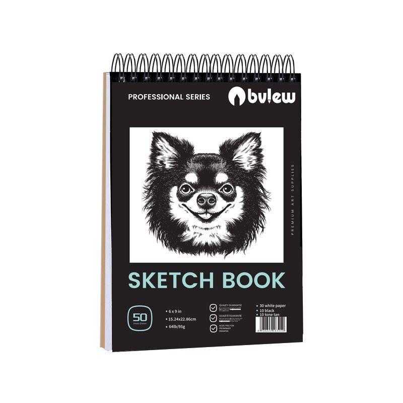 Bview Art Pro Kit d'Arte 49 Pezzi - Set di Materiali per Disegno con Matite Grafite/Carbone, Blocco da Disegno e Strumenti per Artisti Adulti