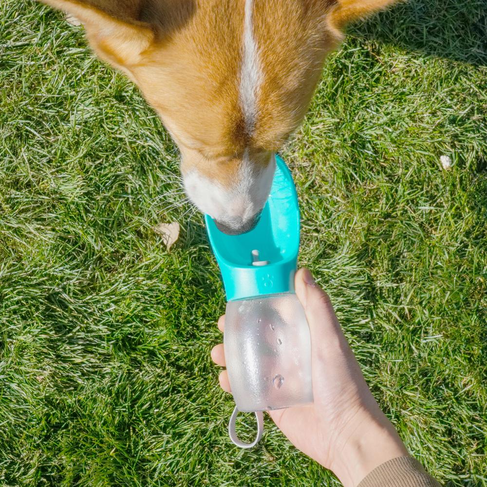 300ML Hunde Wasserflasche Kleintier Hund Mattierte Trinkschüssel Tragbarer Reise Wasserbehälter Draußen Welpennapf Hundezubehör
