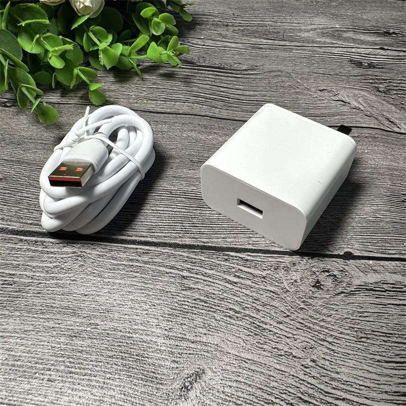 Red Fruit G05s Single Head 100W Type-C Fast Charging Set