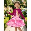 Girls' 3D Frilly Princess Dress Long Sleeve Summer Spring Vacation Daily Holiday Princess Beautiful Sweet Kids 4-12 Years Casual Dress A Line Dress