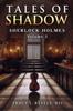 Sherlock Holmes by Tracy Revels Paperback Book 9781804245095