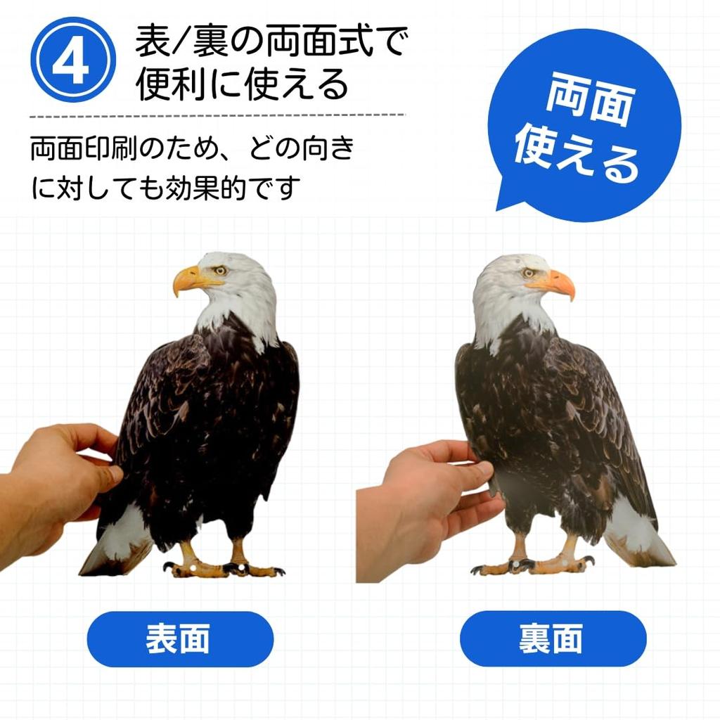 Ateena Ptak Gołąb Wrona Typ Wiszący na Balkony i do Mieszkań x 2 Odstraszacz, Odstraszacz, Odstraszacz, (Jastrząb (2) Sztuk)