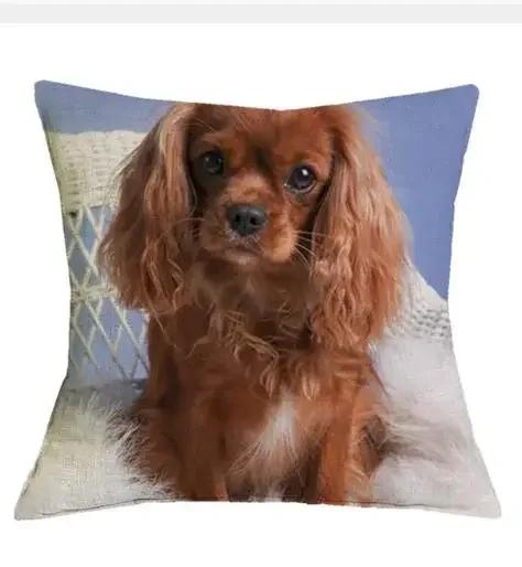 Cavalier King Charles Spaniel Bedrukte Serie Bank Creatieve Kussenhoes Eenvoudige Kussensloop Huisdecoratie Feest