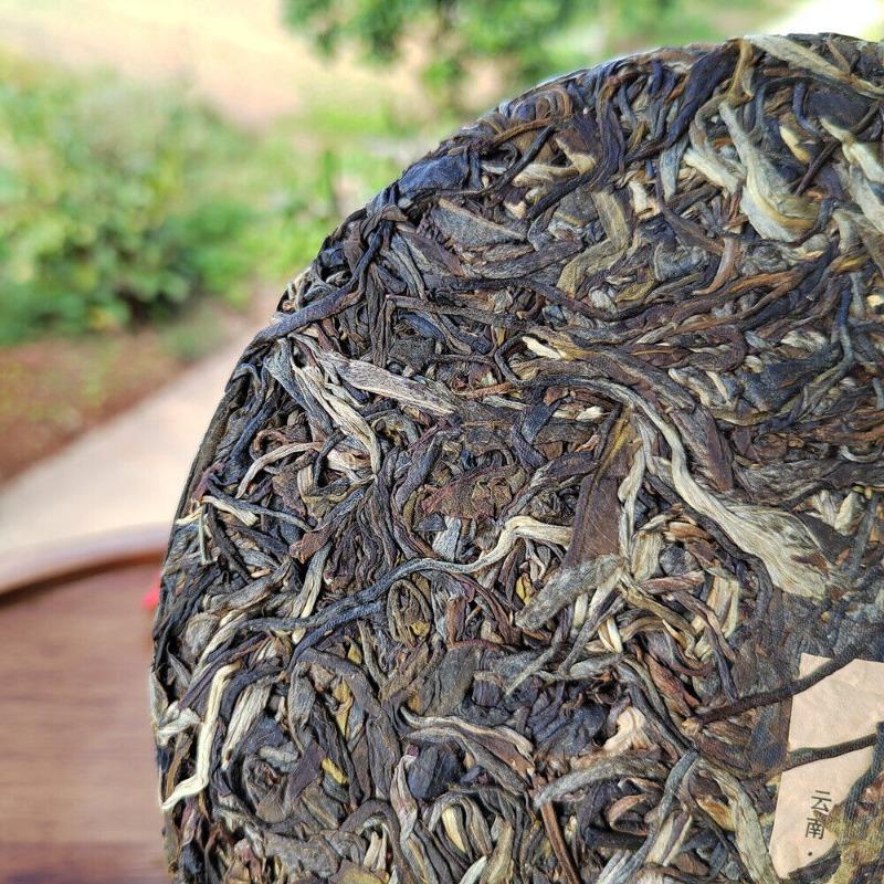 Scraping Walled Pu'er Teekuchen Yiwu Ancient Tree Raw Tea Erster Frühling Yunnan Tee