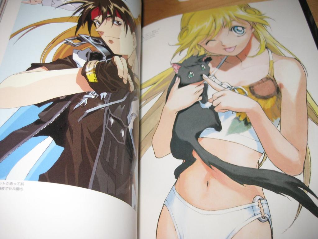 Sorcerous Stabber Orphen: Wandering Journey In the Black Sanctuary: Yuya Kusakawa Art Collection (DRAGON MAGAZINE SPECIAL)