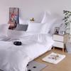 Pure Cotton All-Season Four-Piece Bedding Set