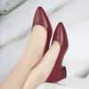 2026 Women Pointed Toe High Heels Shoes New Fashion Pumps Outdoor Anti-slip Designer Shoes Elegant Shoes Zapatos De Mujer
