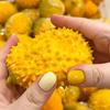 Shapeable Durian Squishy Finger Relax Blocks Filled Squishy Creative Crunchy Squishy  Students