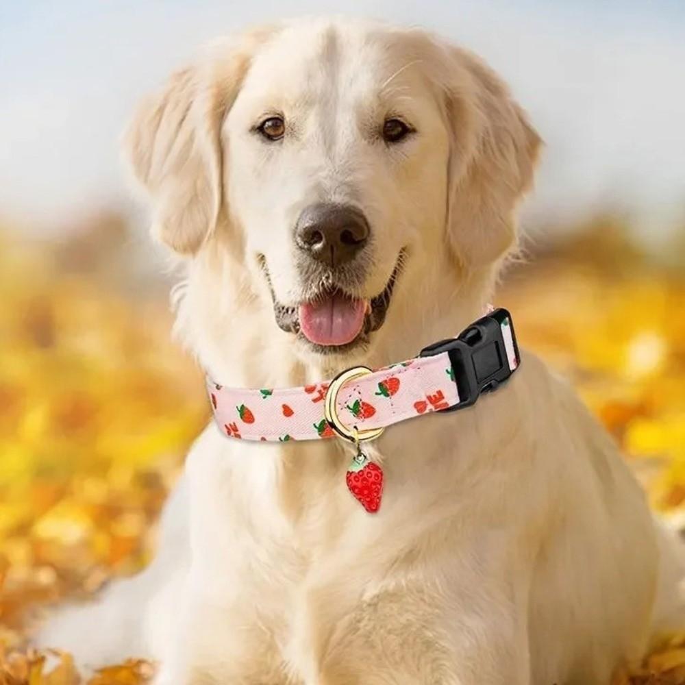 Soft Dog Strawberries Collar Fruit Print Cat Watermelon Collar Durable Pet Chain  Pet Accessories