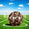 1pc Roses Horse Majesty Theme Soccer Ball Football, Size 5, Lightweight PVC, Durable Outdoor Training Soccer Ball, Gift M61466