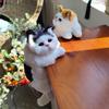 Simulation Furry Hanging Cat Realistic Cat Doll Animal Figurines Plush Hanging Kitten Toy Cute Kitten Model Gift Home Tv Decor