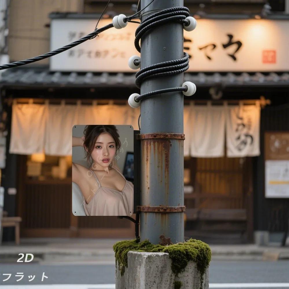 Vintage Pink Camisole Wall Sign Retro 8x12 Inch Metal Plaque Women Room Decor