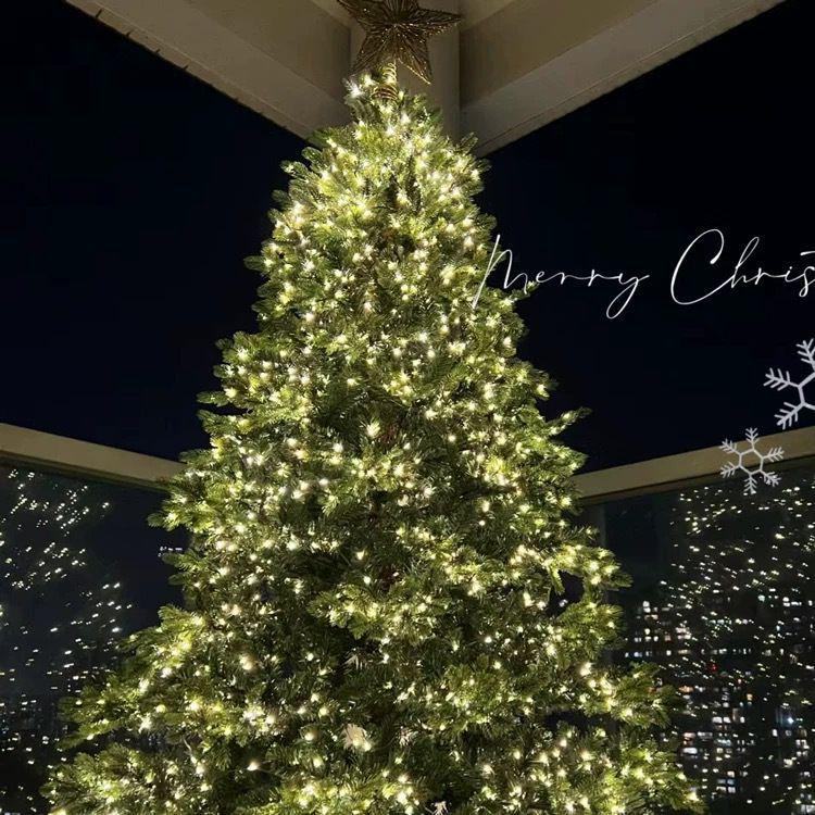 Funkelnder Stern Kupferdraht Weihnachtsbaum Lichterkette mit grünem Draht zur Girlanden- und Kranzdekoration