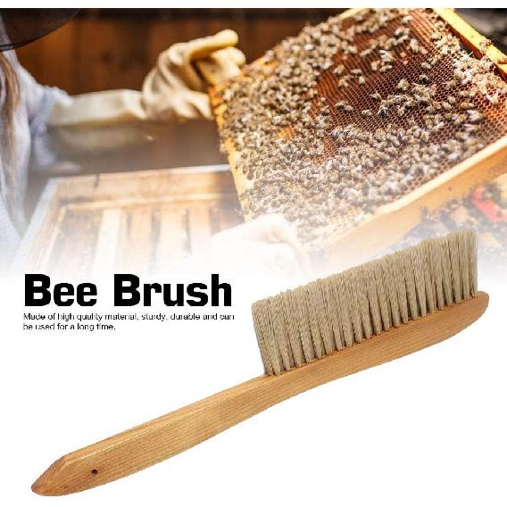 Double Row Beekeeping Brush, Versatile Long Handle Honey Brush Beehive Sweeping Cleaning Tool Equipment for Beekeeping and Bee Keeper