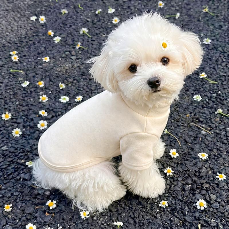 Dog clothes autumn and winter than bear teddy puppet small dog cat pet anti-hair German velvet two feet bottoming pajamas