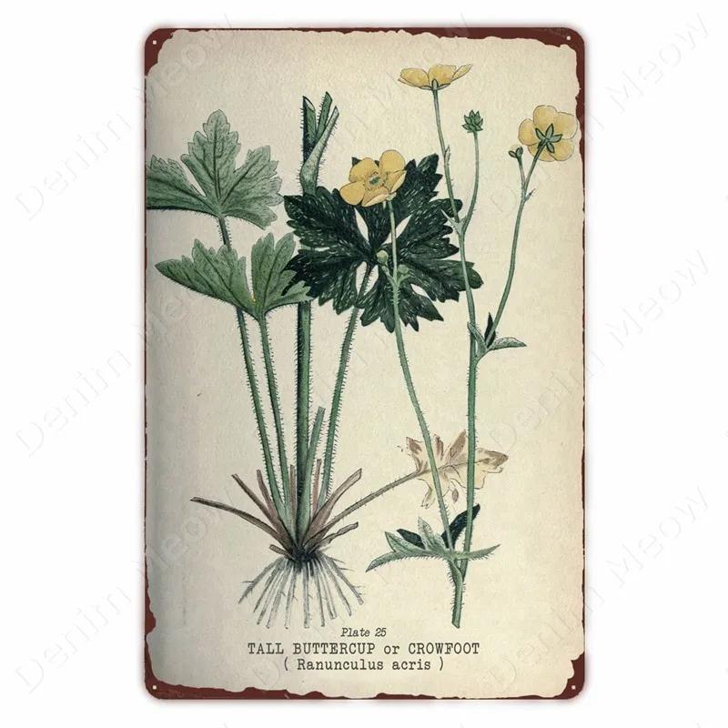 VegFruitVintageSign Vegetable Plants Retro Poster - Fruits/Cauliflower Vintage Metal Tin Sign, Garden/Kitchen Farm Wall Decor