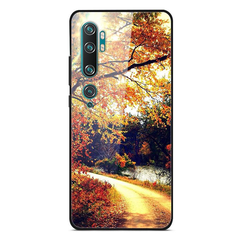 Luxury Cover Case for Xiaomi Mi Note 10 Pro Tempered Glass Cover Silicone Phone Case for Xiaomi Redmi Note 10Pro 10 Pro Cases