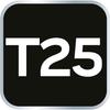 Torx T25 x 100 mm screwdriver