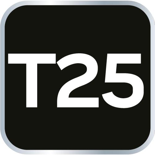 Torx T25 x 100 mm screwdriver
