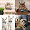 Pet Dogs for Cat Tag Resin Mold DIY Crafts Keychain Silicone Mould UV Epoxy Mold Handmade Jewelry Pendant Resin Casting