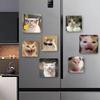 Grappige Kat Memes Koelkastmagneet Gepersonaliseerde Creatieve Magnetische Stickers Met Magneten