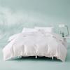 Mercury Home Textiles Antibacterial Disposable Travel Bedding Set