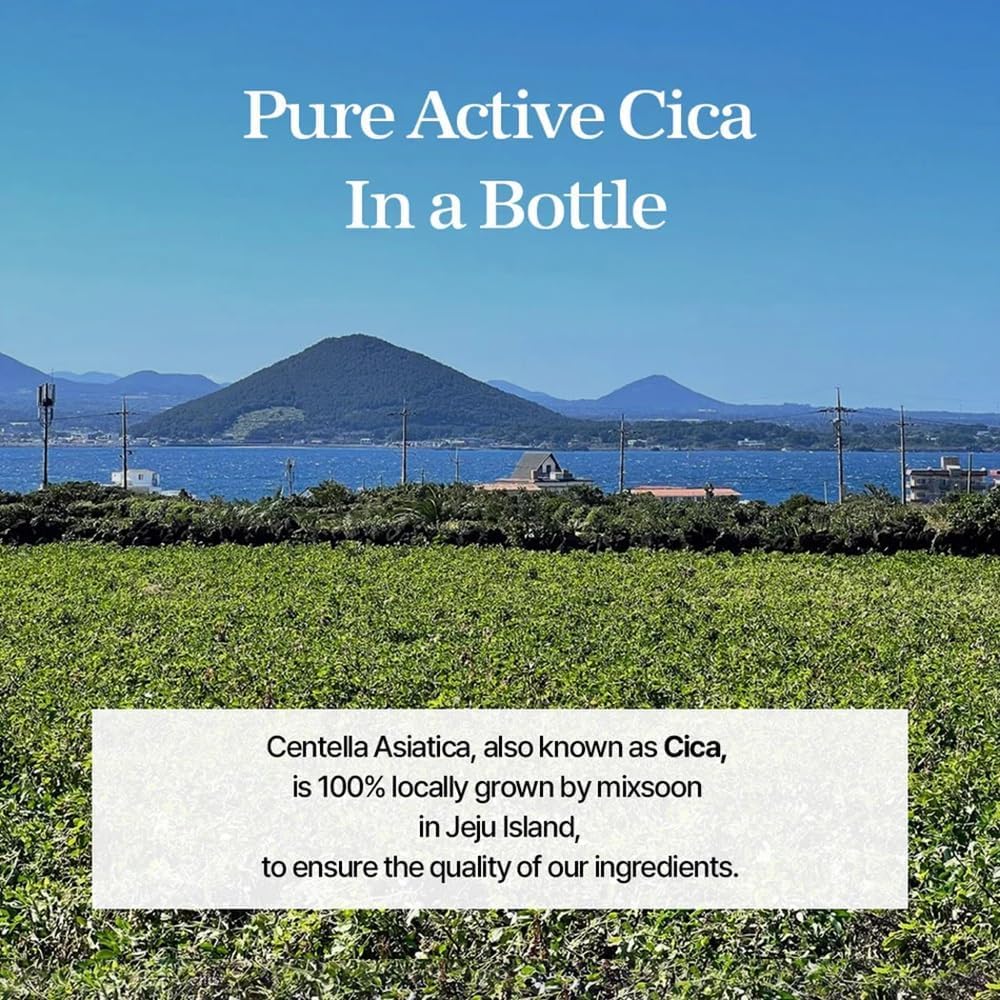 Mixsoon Soondy Centella Asiatica Essence - Travel-Friendly Calming Essence 50ml
