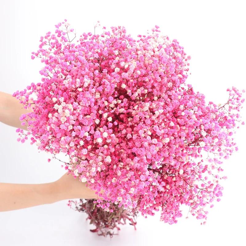 Dried Flowers Babys Breath Bouquet Ivory White Flowers Natural Gypsophila Branches for Home Decor Wedding Flowers Bulk for Vase