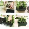 Plastic Planting Box Green Succulent Planter Bonsai Tool Seed Container  Plant