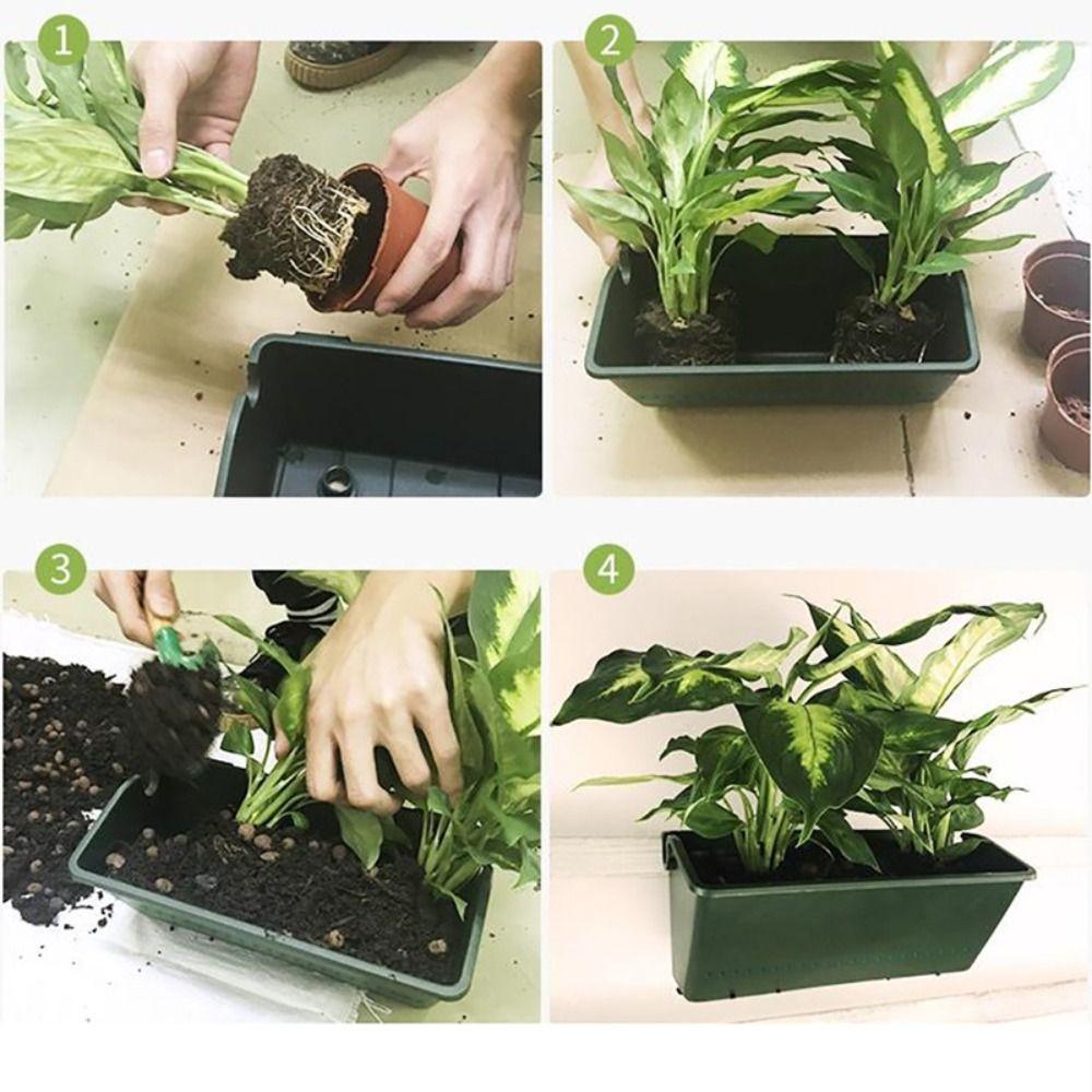 Plastic Planting Box Green Succulent Planter Bonsai Tool Seed Container  Plant