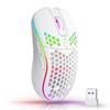 Ergonomic Design RGB Lighting Mouse Rechargeable 2.4G Wireless Mouse Gaming Mouse  PC