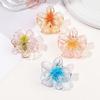 4pcs Small Jelly Color Flower Clip-Premium Feeling Sweet Style Shark Clip-Applicable to Summer Seaside Ladies Hair Clips Hair Ac