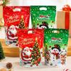 10‑50PC Xmas Self‑Seal Gift Bags,Santa Snowman Printed Plastic Pouches,Party Favor Packaging Bags for Christmas Holiday Supplies