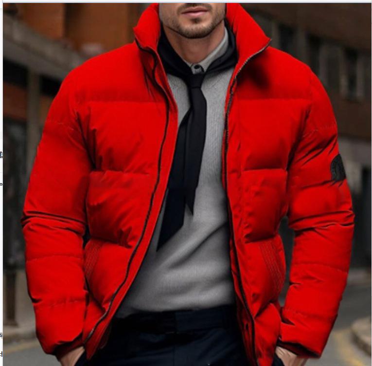 European & American Men's Winter Cotton Padded Jacket, Thickened, Casual, Plus Size, Outerwear, Labeled European Size.
