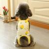 Washable Female Dog Diapers Underwear Cat Shorts Skin Friendly Pet Physiological Pants  Spring