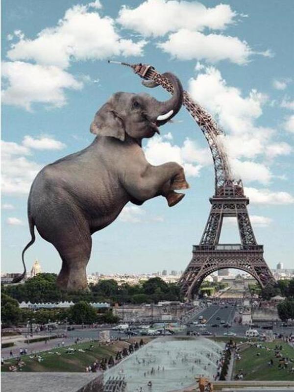 Diamond Painting New Arrivals Colorful Elephant Diy Full Square Round Drill Rhinestone Embroidery Mosaic Cross Stitch Kits Animals Kids Gift JX0014