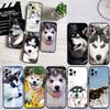 LO53 Husky Puppy Dog Soft Shell Phone Case for iPhone SE X XS XR 11 16E 17 Pro Max Air 8 7 6 6s Plus